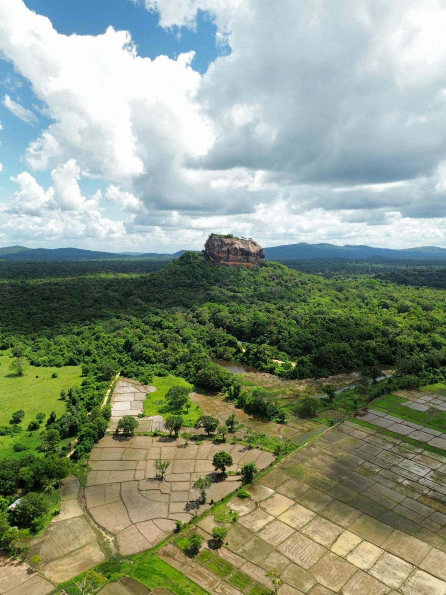 Sigiri Dilu Villa Sigiriya Ngoại thất bức ảnh