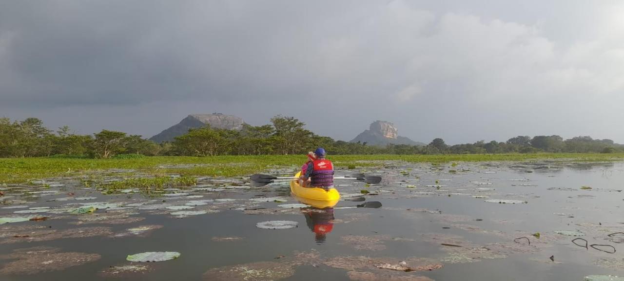 Sigiri Dilu Villa Sigiriya Ngoại thất bức ảnh