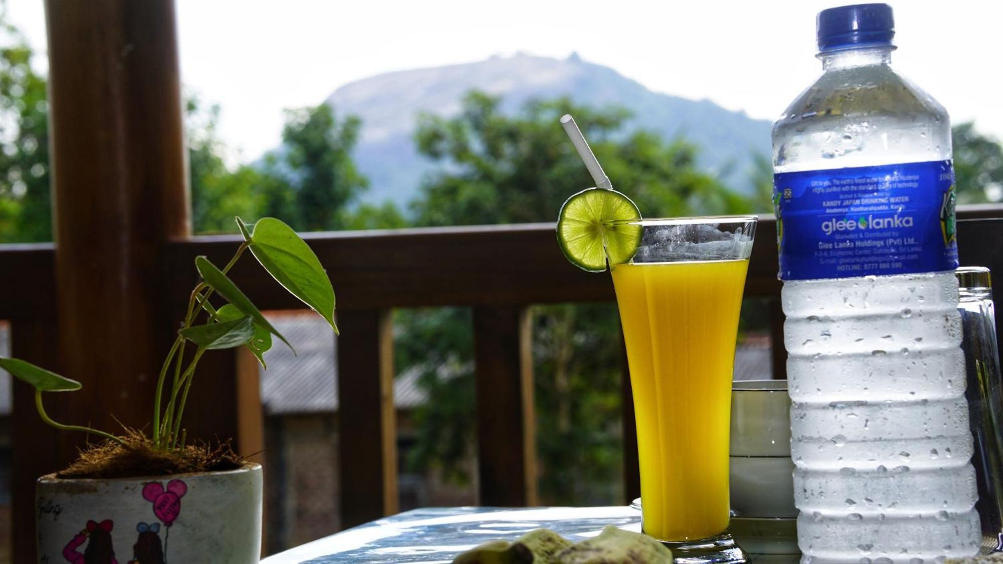 Sigiri Dilu Villa Sigiriya Ngoại thất bức ảnh