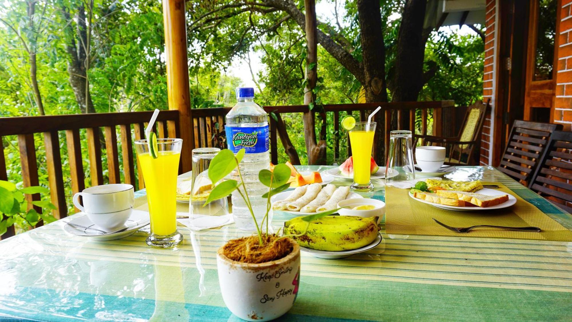 Sigiri Dilu Villa Sigiriya Ngoại thất bức ảnh