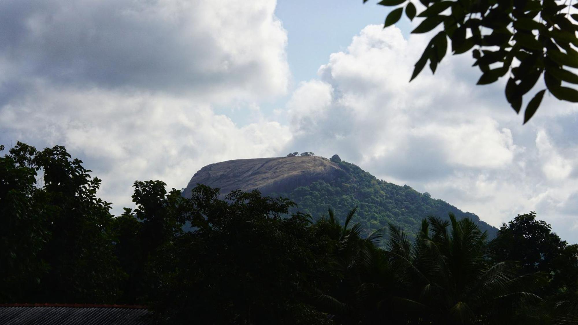 Sigiri Dilu Villa Sigiriya Ngoại thất bức ảnh