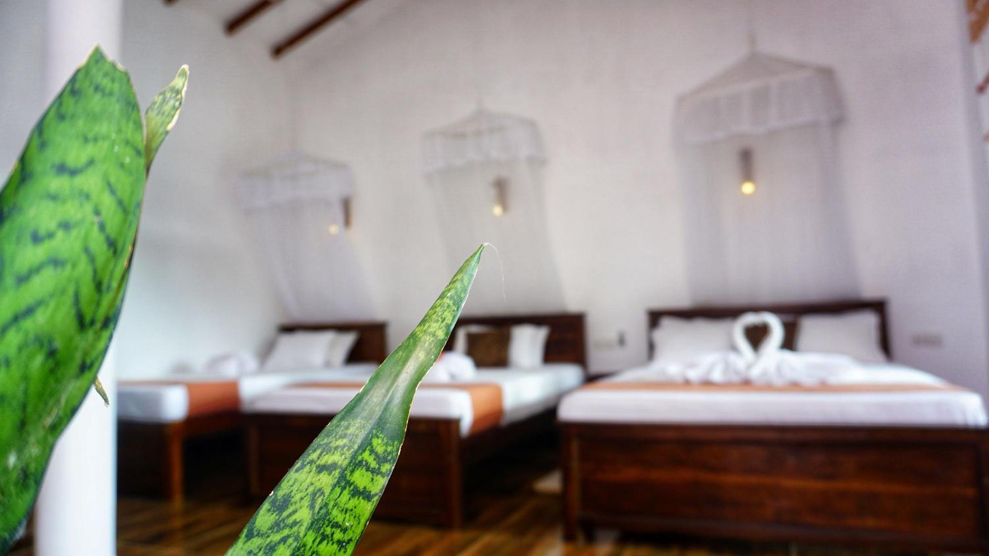 Sigiri Dilu Villa Sigiriya Ngoại thất bức ảnh