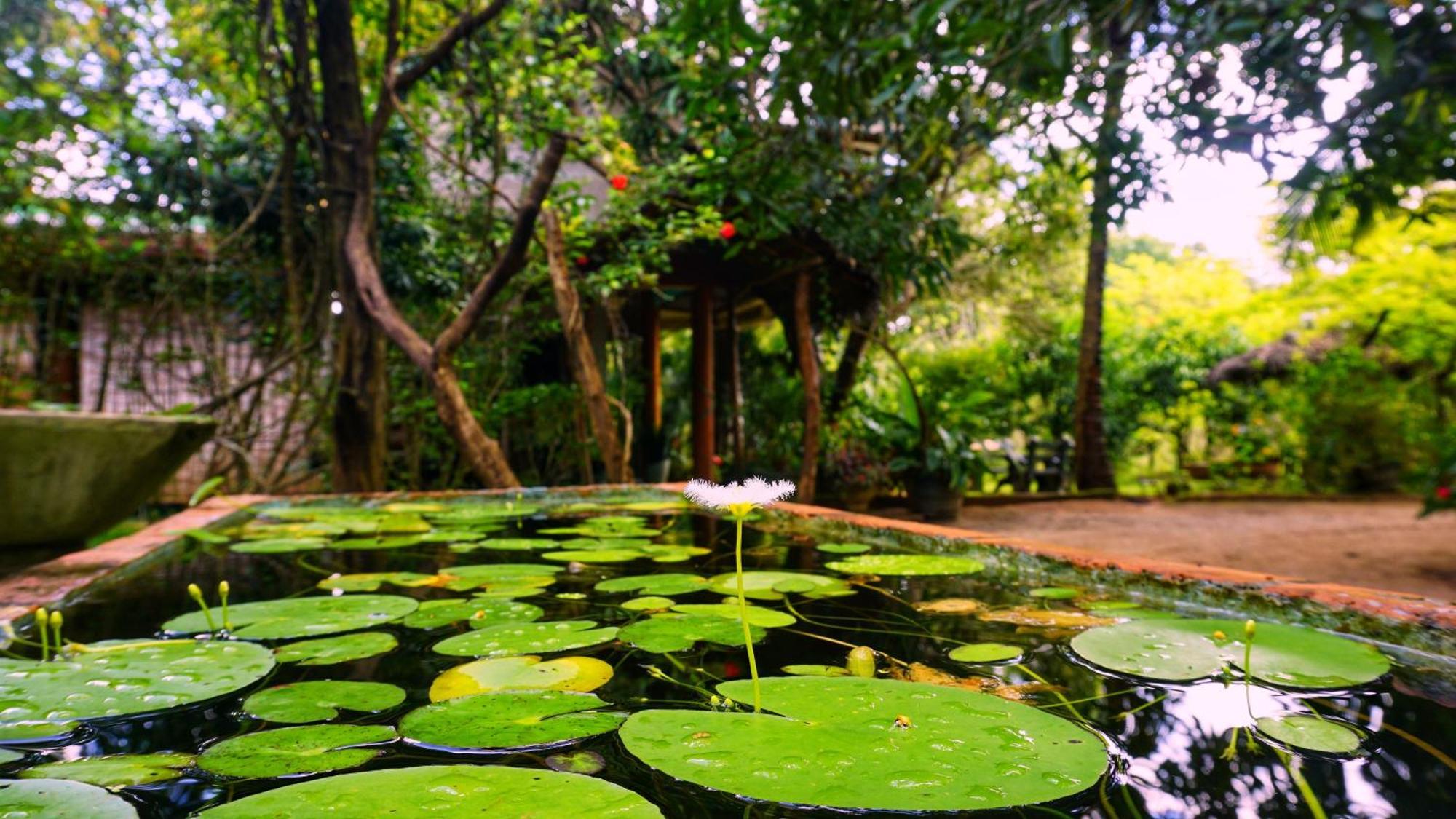Sigiri Dilu Villa Sigiriya Ngoại thất bức ảnh