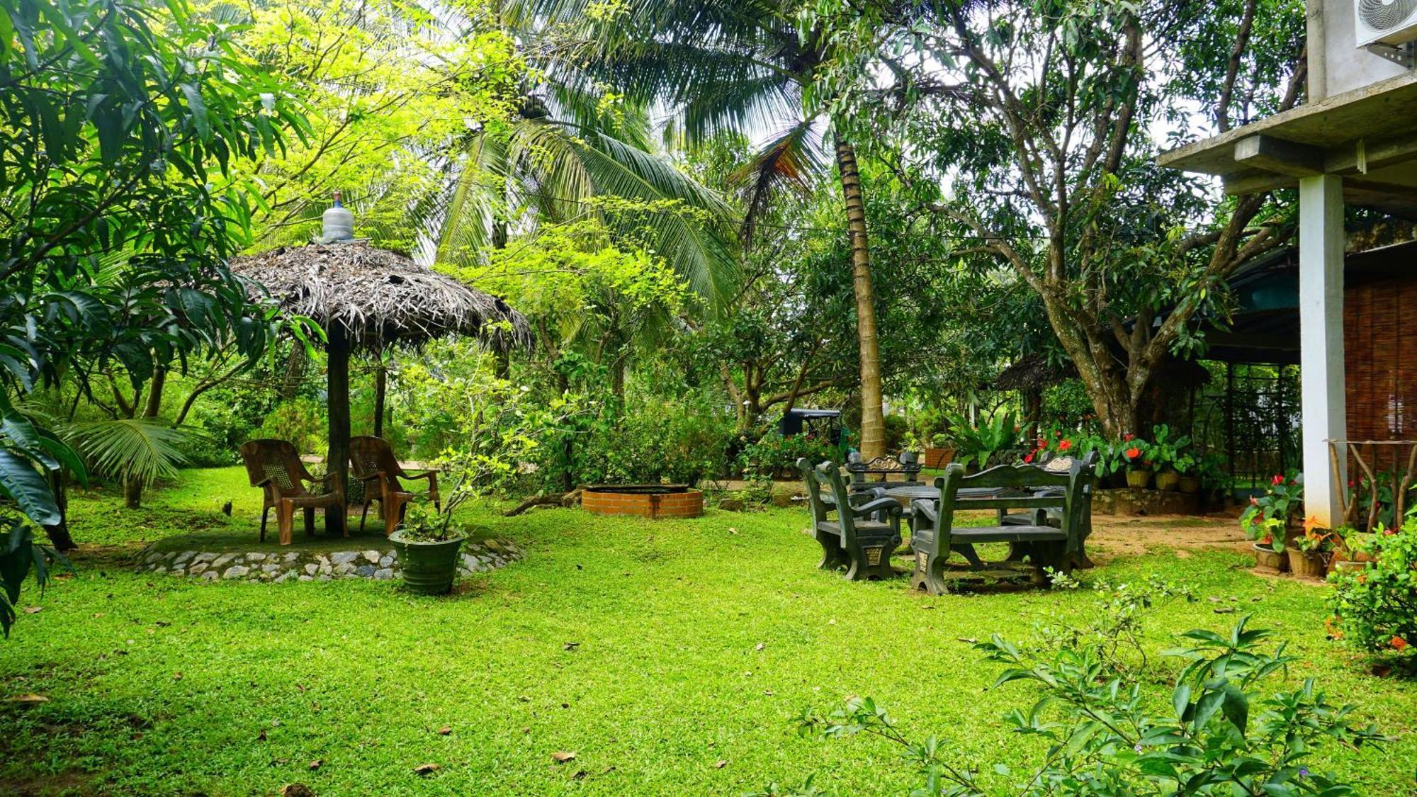 Sigiri Dilu Villa Sigiriya Ngoại thất bức ảnh