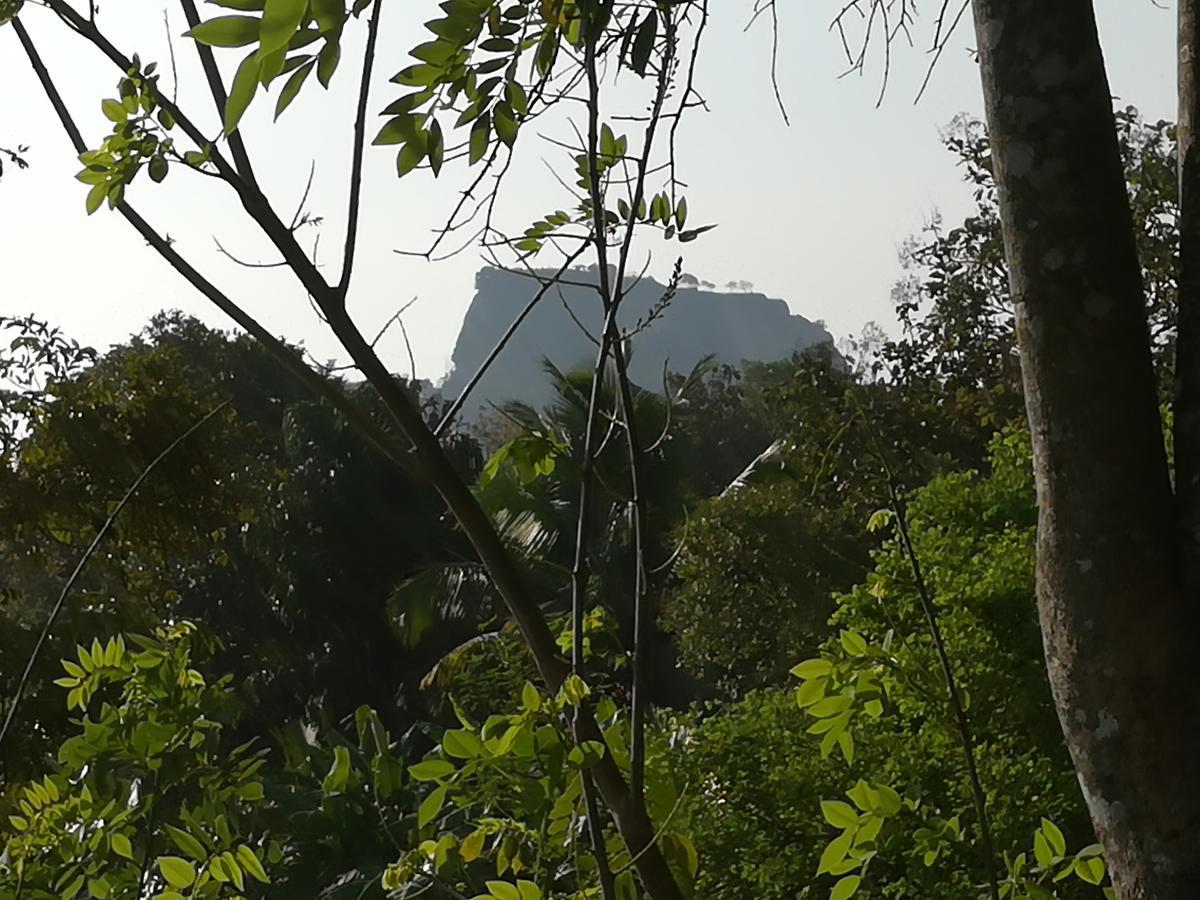 Sigiri Dilu Villa Sigiriya Ngoại thất bức ảnh